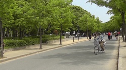 Watashi dake Miteite