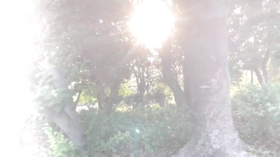 senior life Front Cover