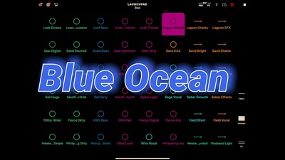 Blue Ocean (feat. the Japnanese GITED)のジャケット写真