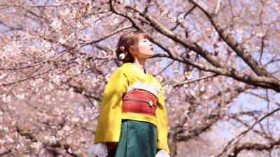 夢と葉桜 (Cover)のジャケット写真