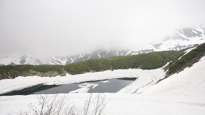 立山のジャケット写真