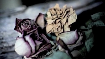 花のジャケット写真