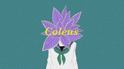 Coleus