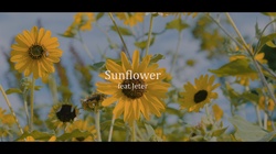 Sunflower (feat. Jeter)