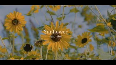 Sunflower (feat. Jeter)のジャケット写真