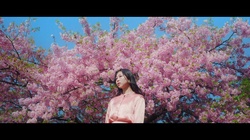 Sakura Super Love (Cover)
