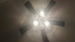 Tokyo enjoy K C dance