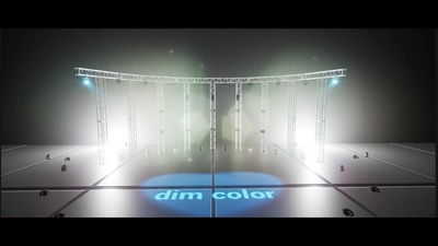 dim color Front Cover