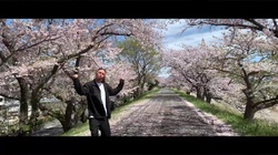 Under the Cherry blossom