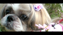 asleep while (feat. Tatsuya Yokota)