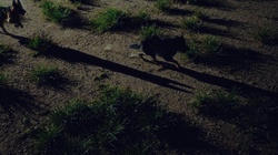 RTTB Freestyle (feat. M3R & ROBBIN)