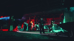 Phoenix Butterfly and Night Moth