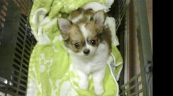 The time I spend with you is irreplaceable.