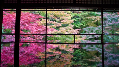 Ruriko-in Temple IIのジャケット写真