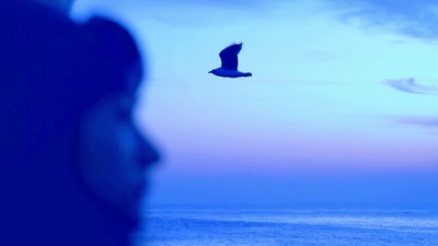 Flying in The Wind Front Cover