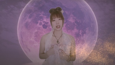 The Lotus Story Front Cover