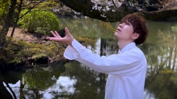 Sakura no Hana no You