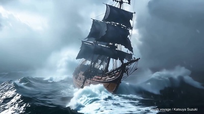 Rough voyage Front Cover