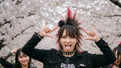 Sakura Punk Spring