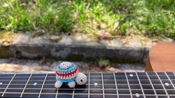 That's fine, don't worry about it.