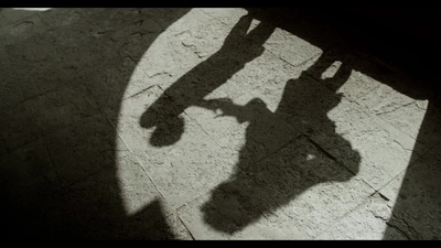 Reflecting in the shadow Front Cover