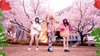 Flower Cherry blossom Cherry Night Party Front Cover