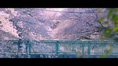 春疾風 -HARUHAYATE-のジャケット写真