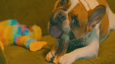 Follow Meのジャケット写真