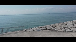 Beautiful sound of waves and healing piano