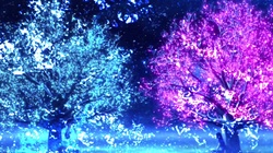 kimigabokuwoshiranakutemo