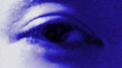 I should really be able to fly in the sky now