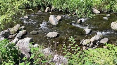 Tranquil River Sounds and Relaxing Piano Front Cover