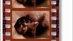 John's Pure Love Story