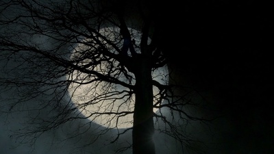 Hyakkiyakou Front Cover