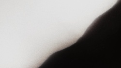 Between Dreams and Reality