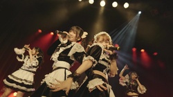 Velvet heart (Live at Shibuya WWW, 2025)