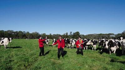 生乳 Say You Say Meのジャケット写真