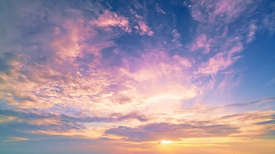 BLOWING IN THE WIND Front Cover