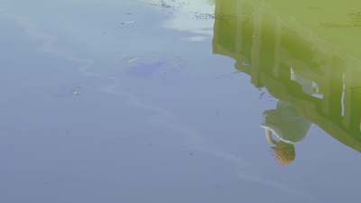 A day, My day Front Cover