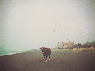 yoursのジャケット写真