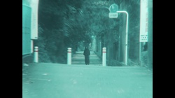 A roaring rain of love