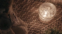 Calm Retreat Acoustic for Mindfulness