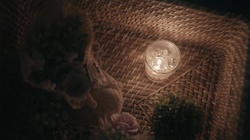 Relaxing sounds and a relaxing night