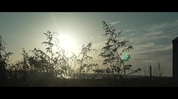 Sunset guitar wrapped in autumn wind