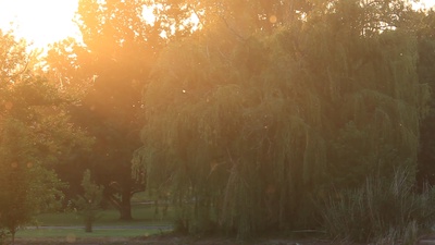 Hand in Hand Front Cover