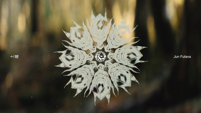 RETURN TO THE SOIL Front Cover