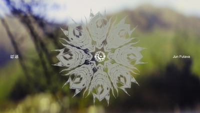 BRANCHES Front Cover