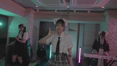 Fake cat!!!! Front Cover