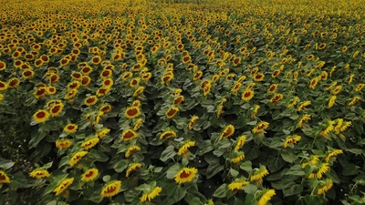 Memories (feat. Oleksandora Vyentseva) Front Cover