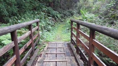 God of Beginning Front Cover